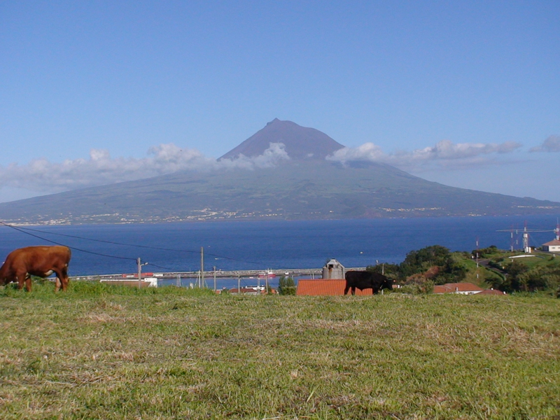 View from Penta's house in the Azores